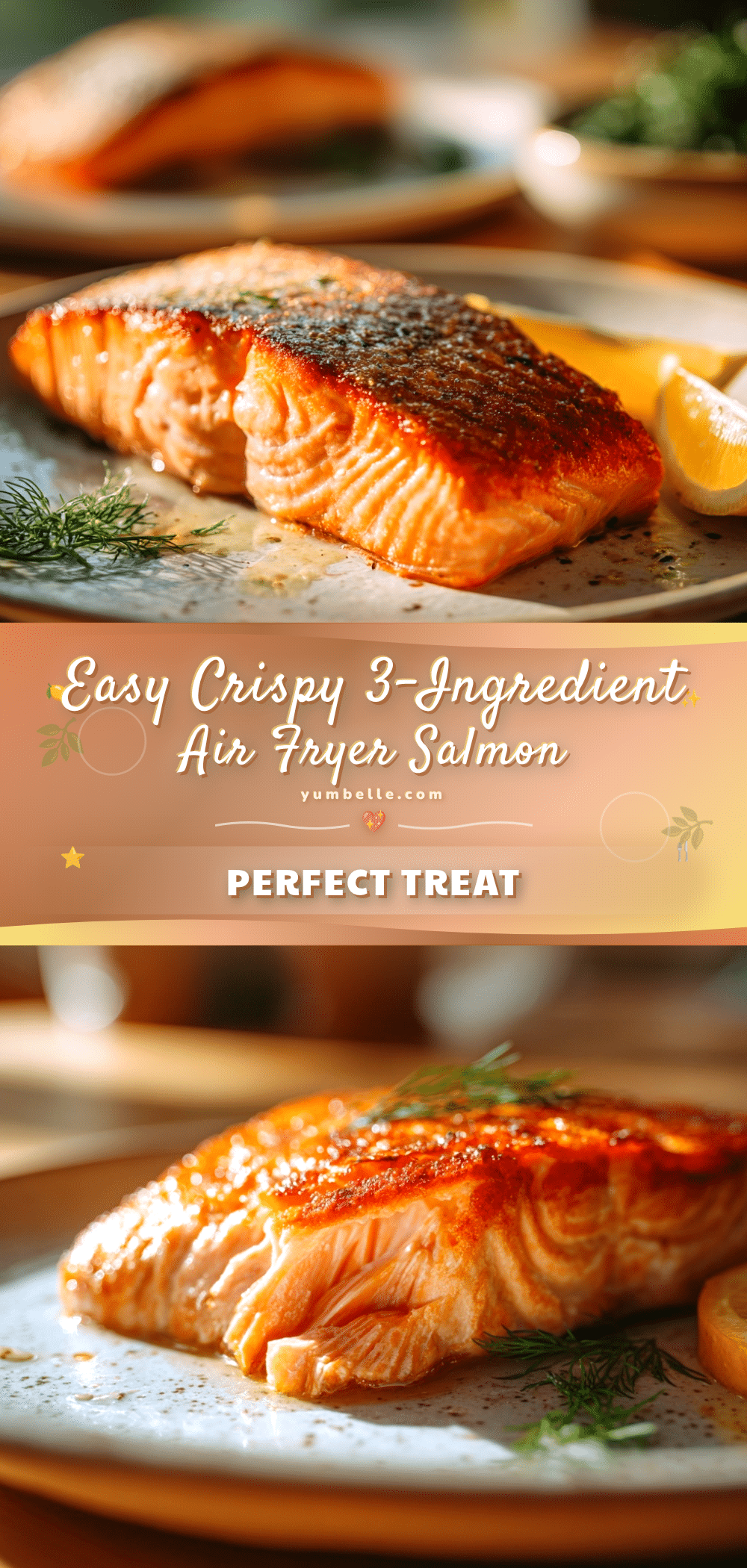 air fryer salmon recipe recipe