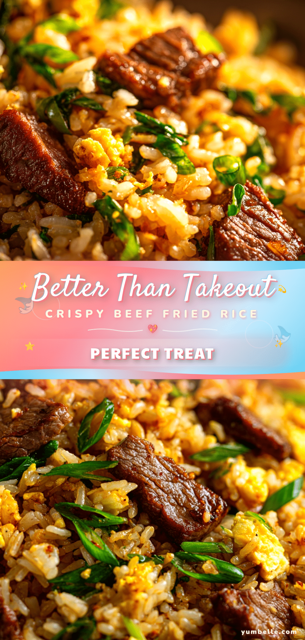 beef fried rice recipe