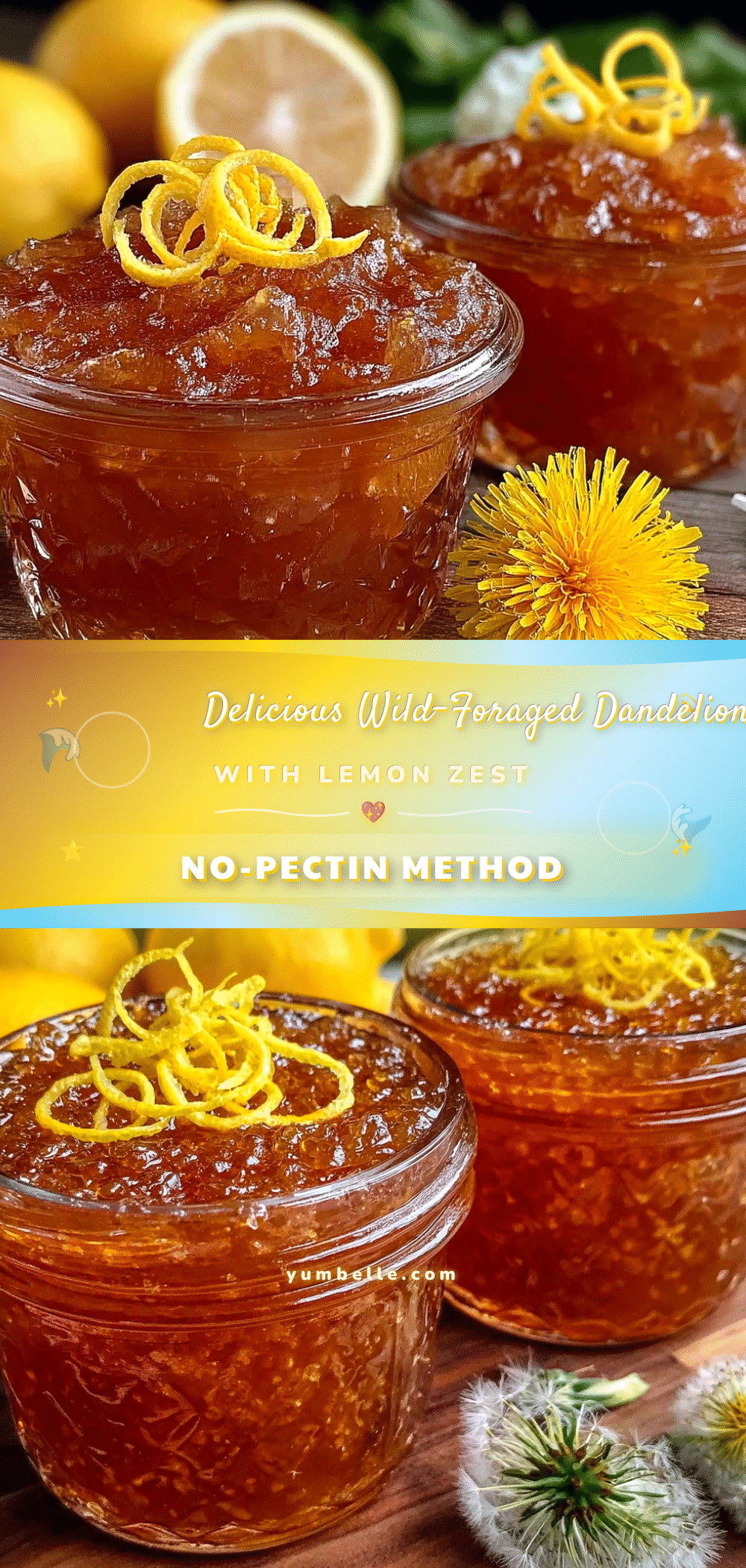 wild-foraged dandelion jelly recipe