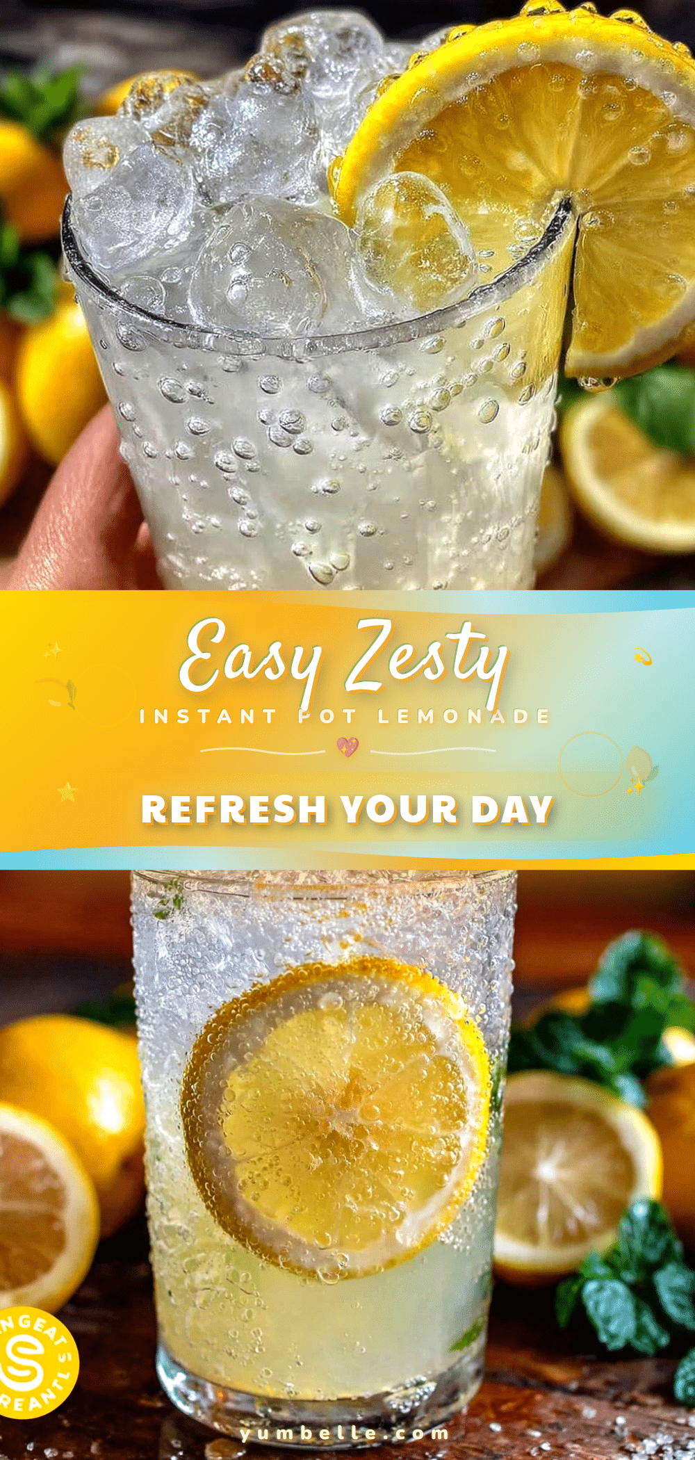 easy zesty instant pot lemonade recipe