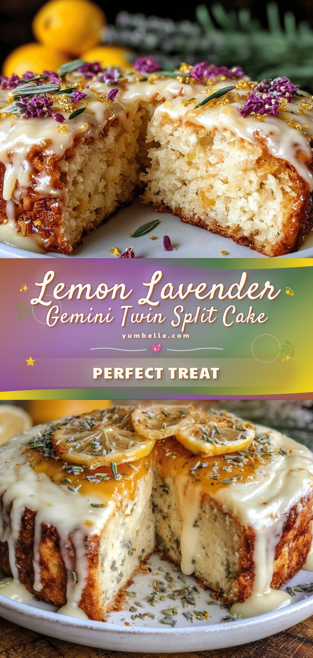 Gemini Twin Split Cake recipe