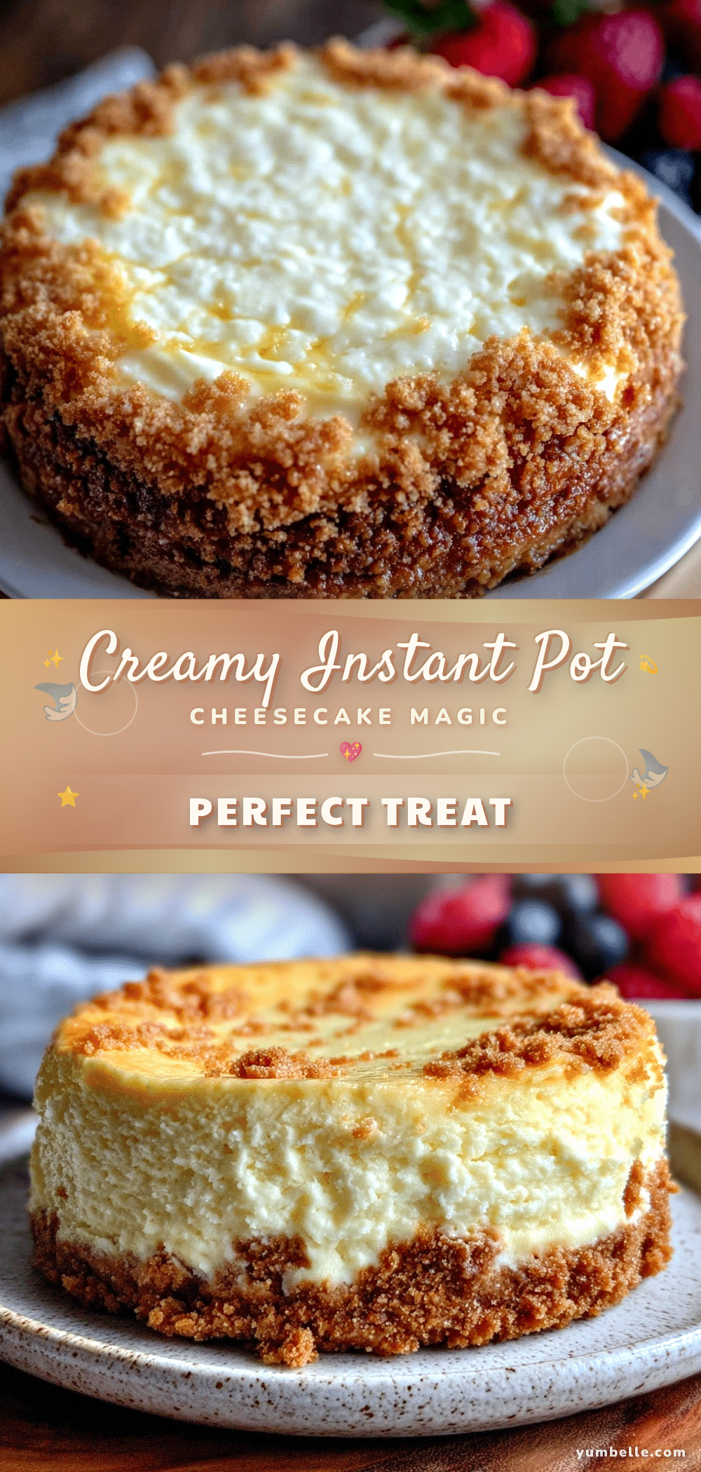 Instant Pot Cheesecake Recipe recipe