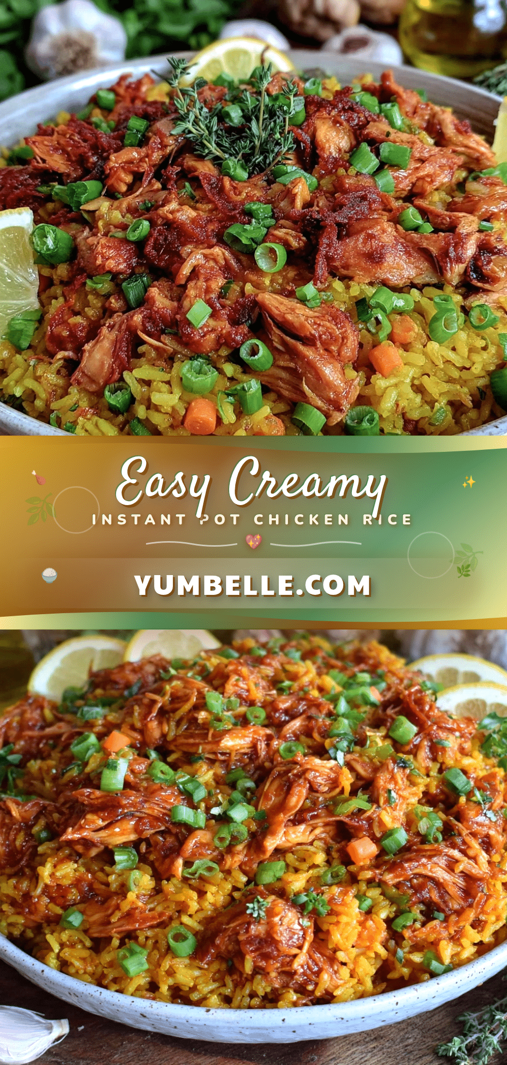 Instant Pot chicken and rice recipe