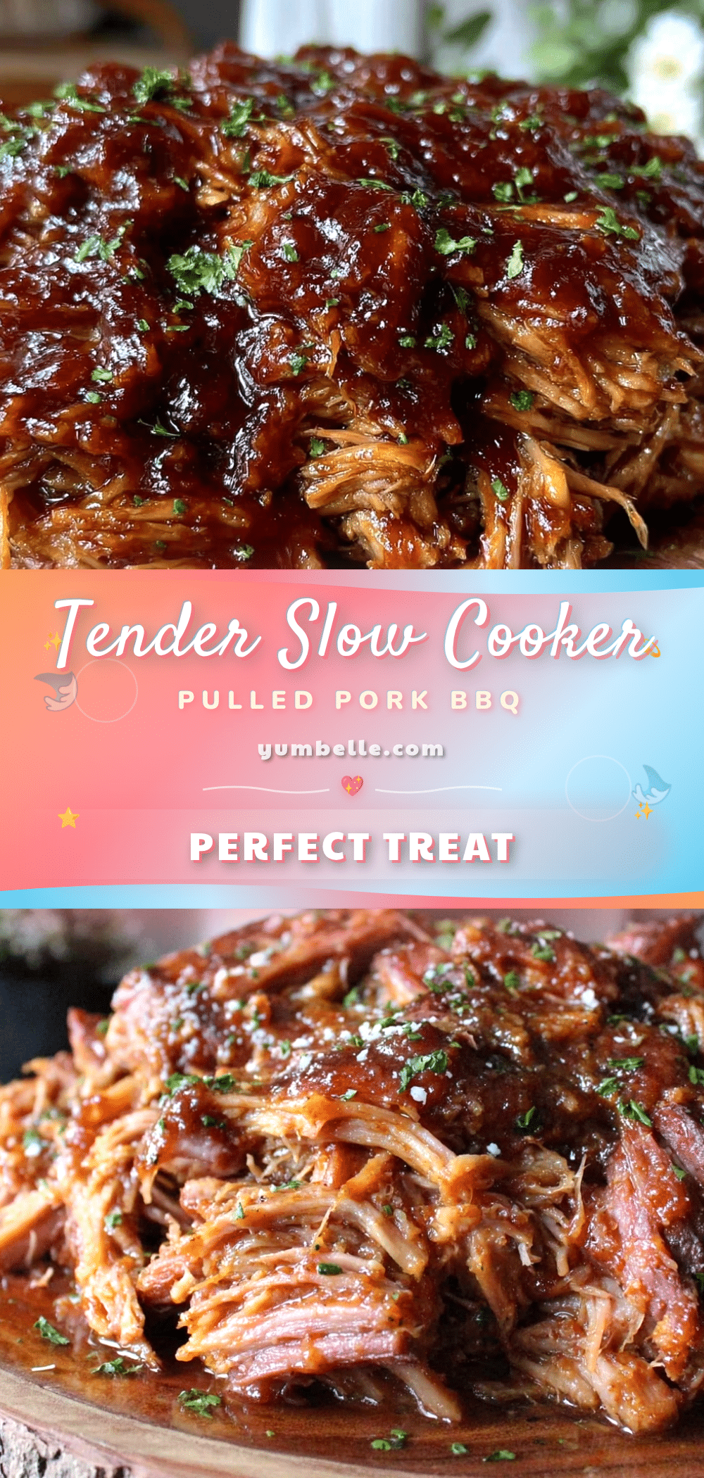slow cooker pulled pork bbq recipe recipe
