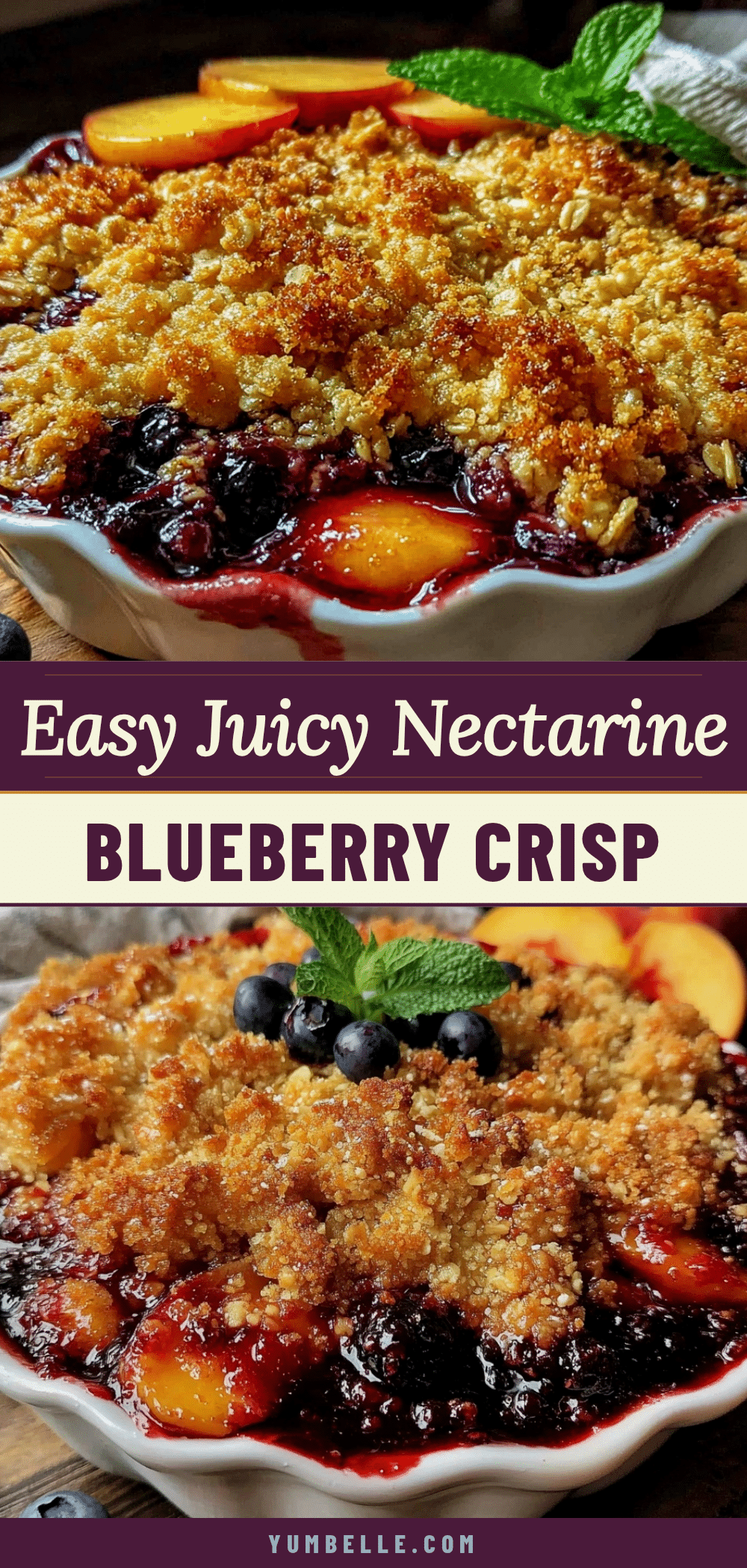 easy nectarine blueberry crisp recipe