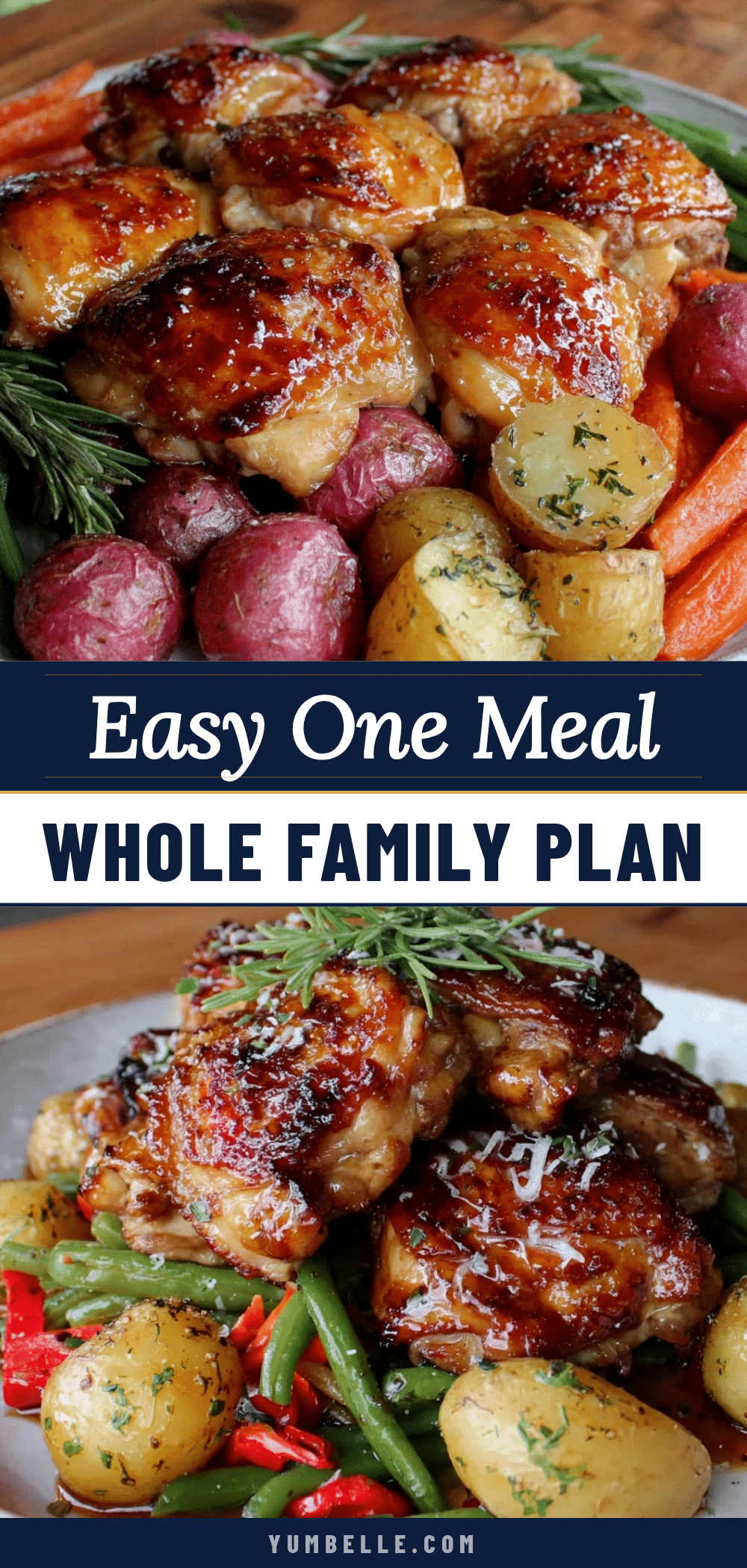 easy one meal whole family plan recipe