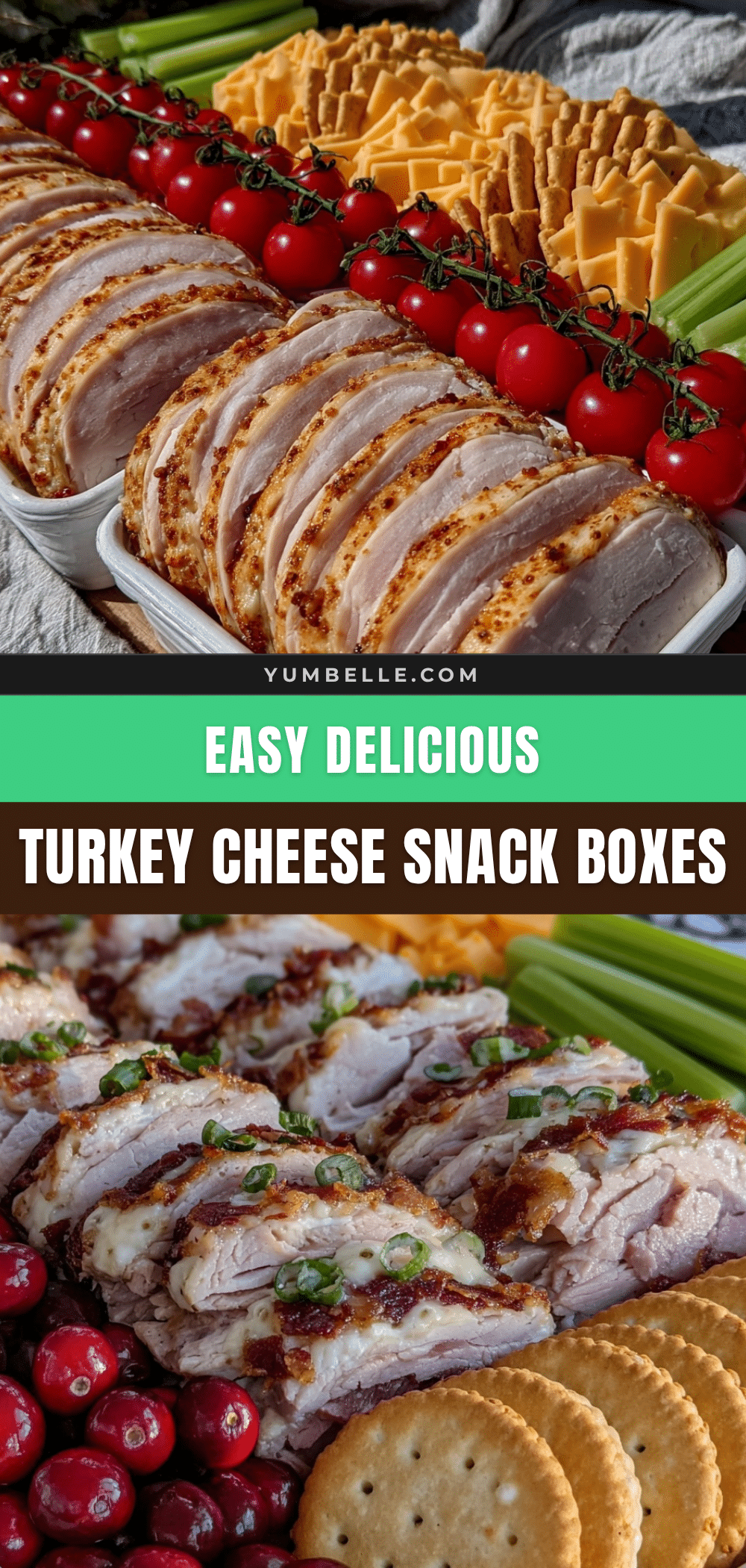 turkey and cheese lunchable snack boxes recipe