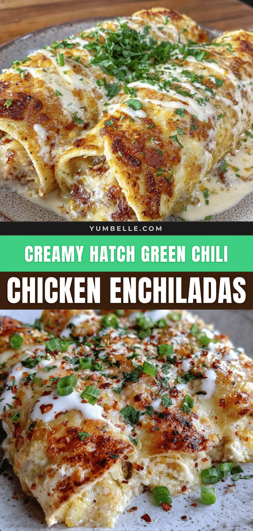 creamy hatch green chili chicken enchiladas recipe