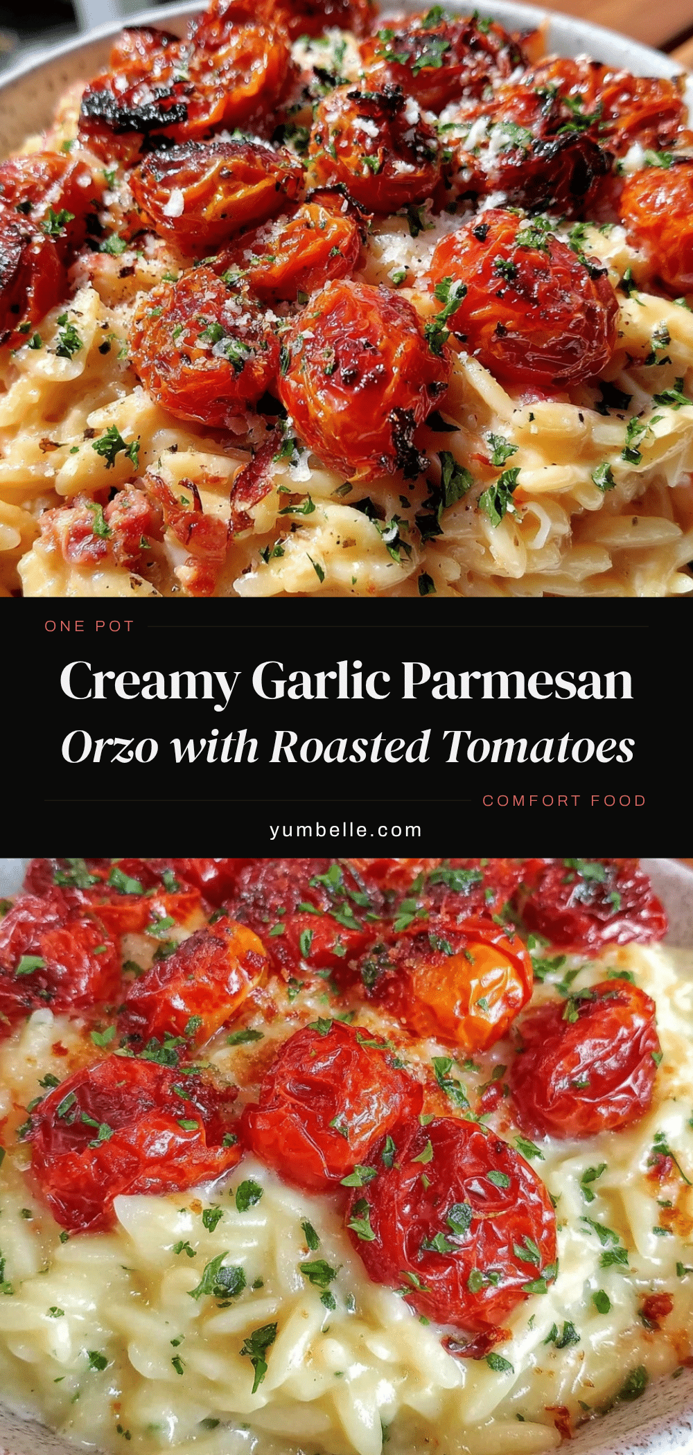 creamy one-pot garlic parmesan orzo recipe
