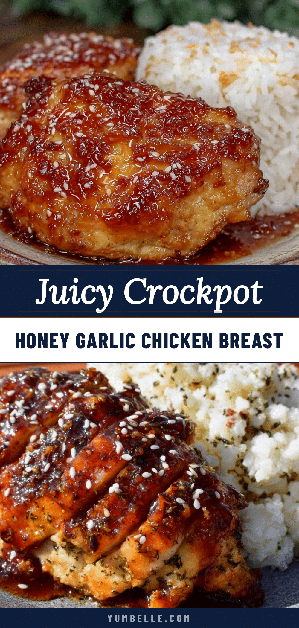 crockpot honey garlic chicken breast recipe