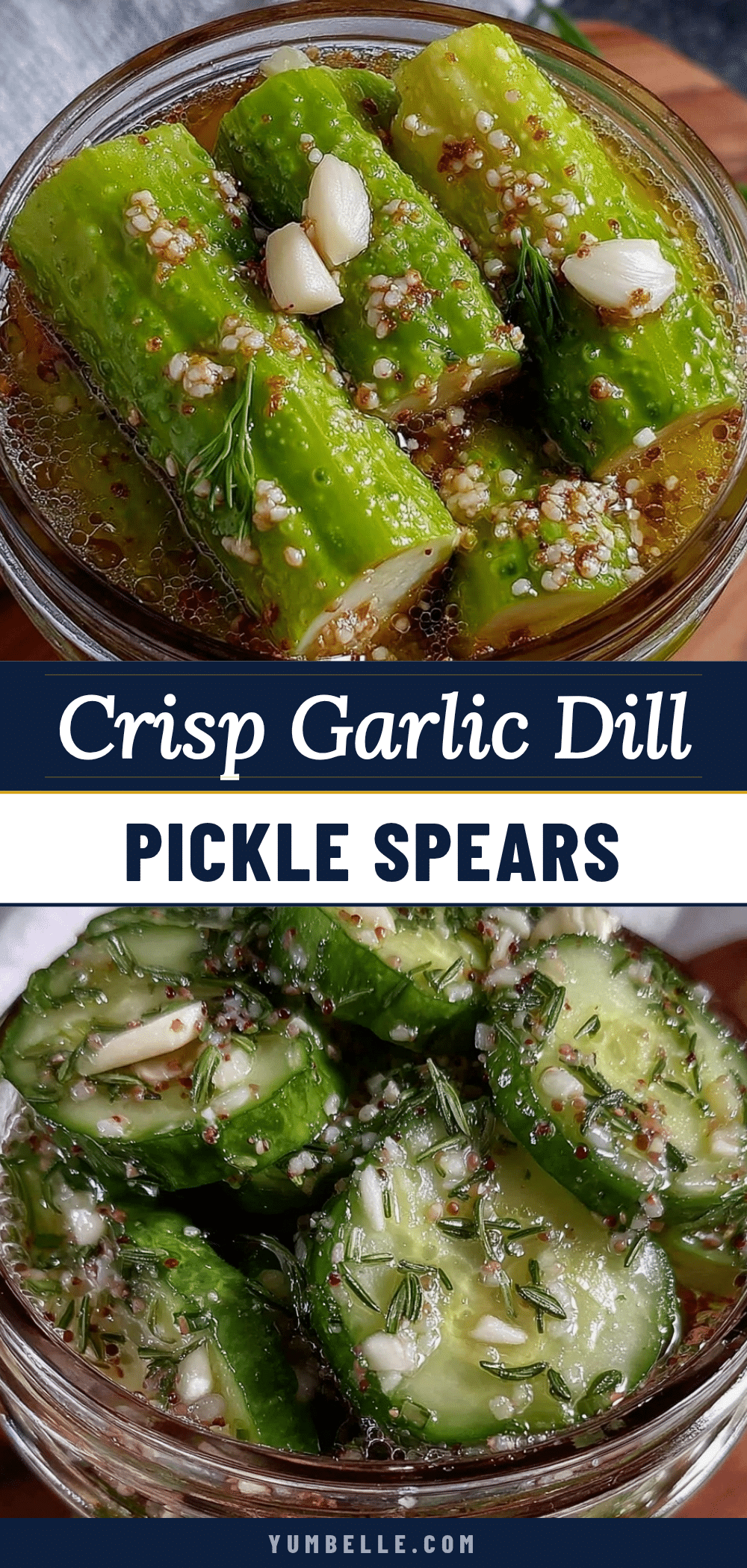 fresh garlic dill refrigerator pickle spears recipe