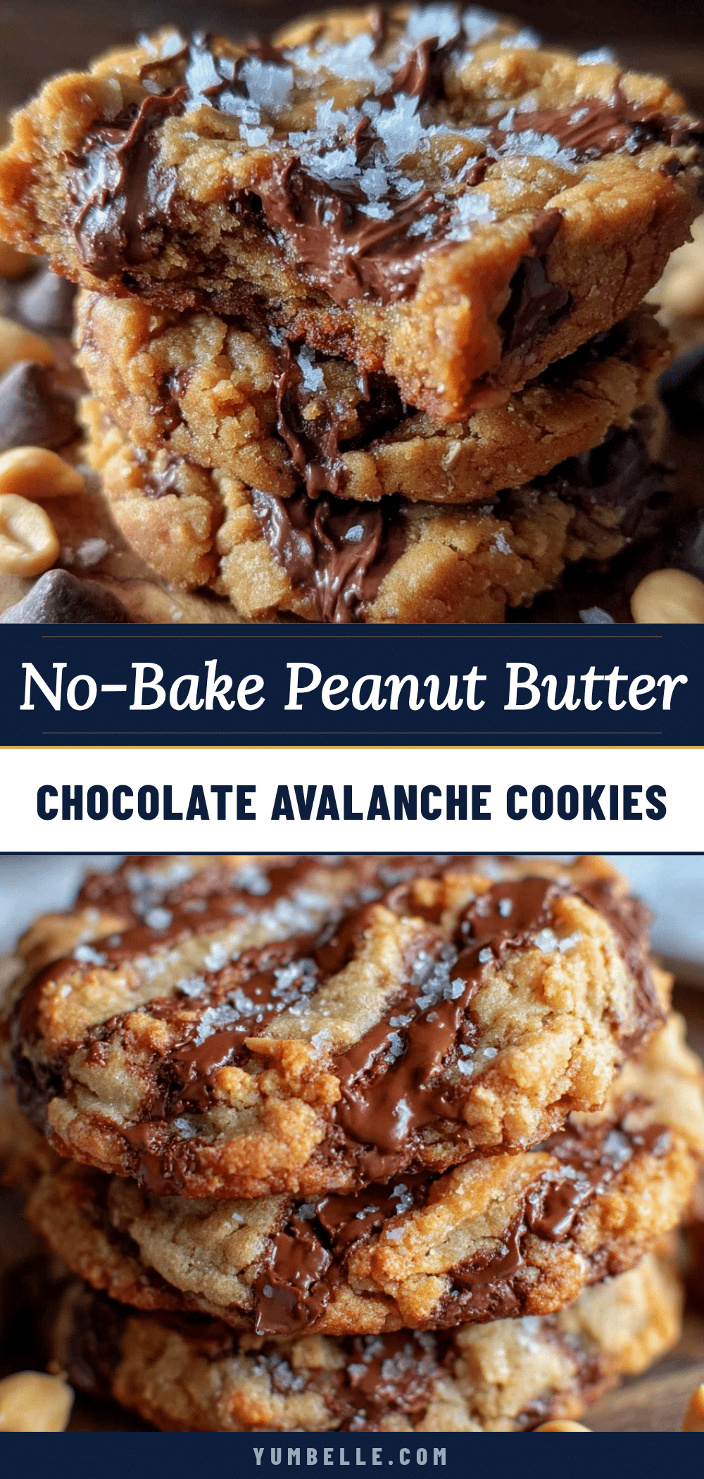 no-bake peanut butter chocolate cookies recipe
