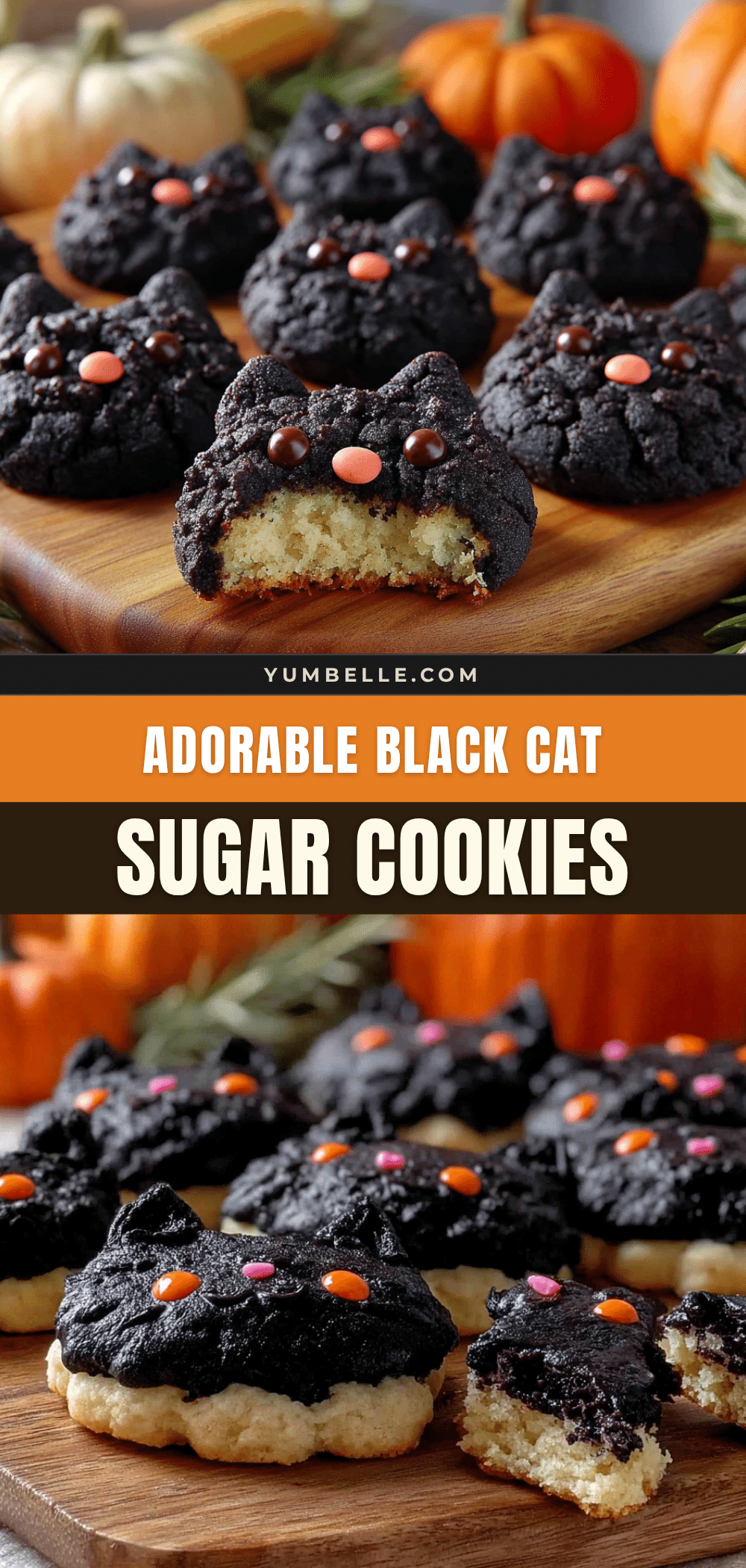 black cat sugar cookies recipe