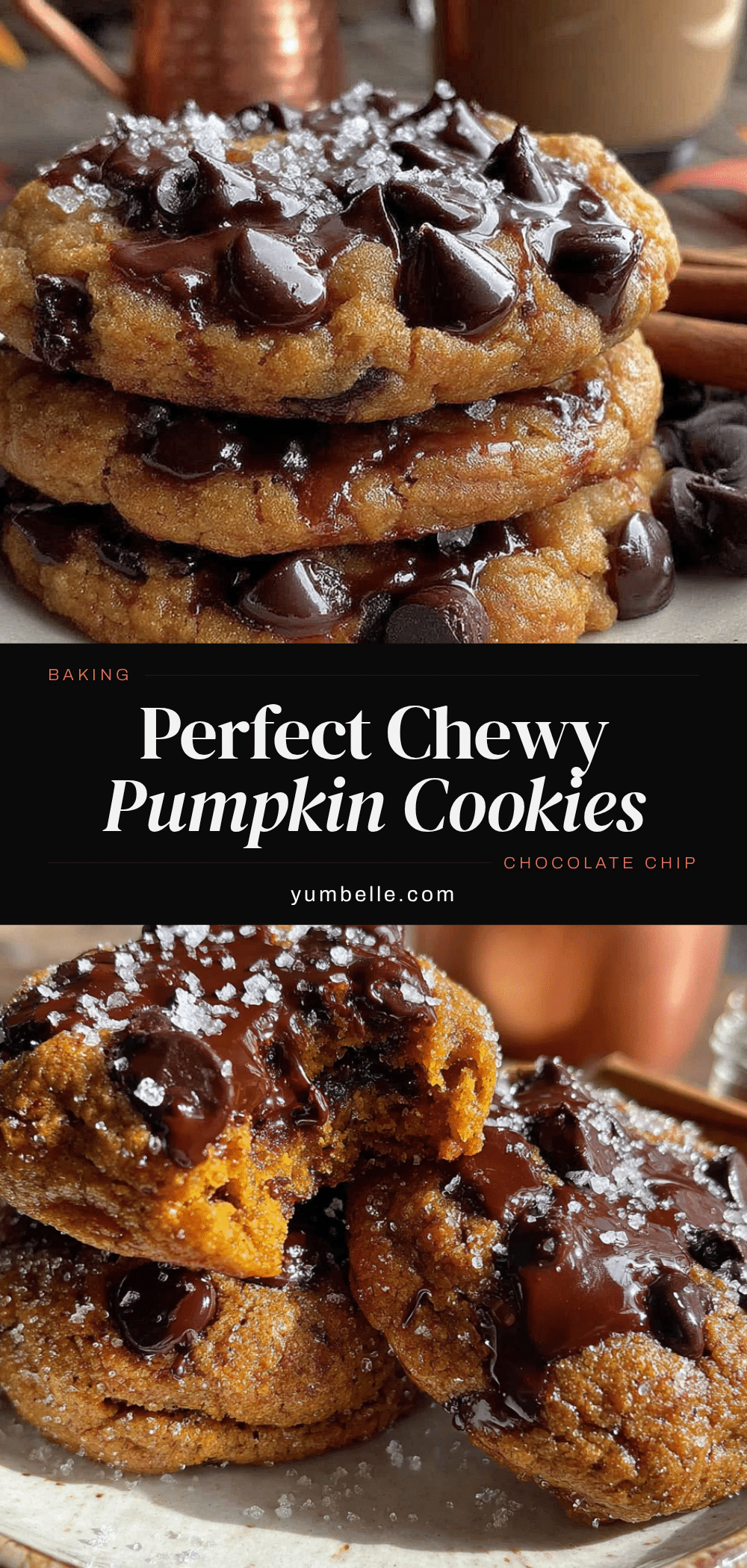 chewy pumpkin chocolate chip cookies recipe