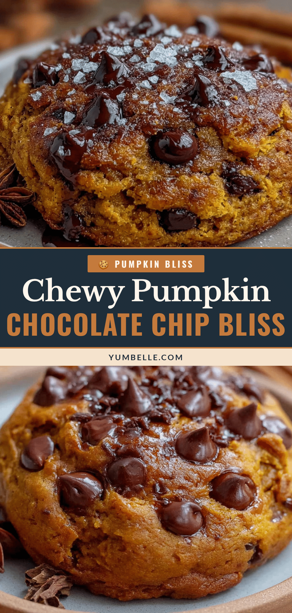 chewy pumpkin chocolate chip cookies recipe