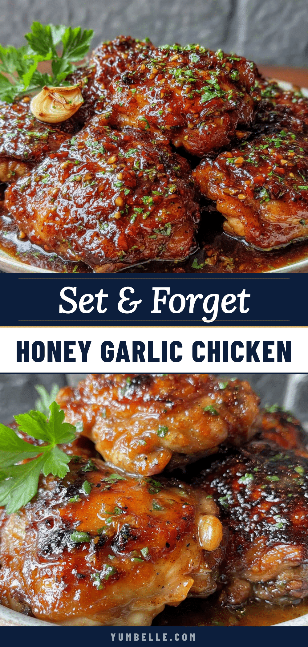 crockpot honey garlic chicken recipe