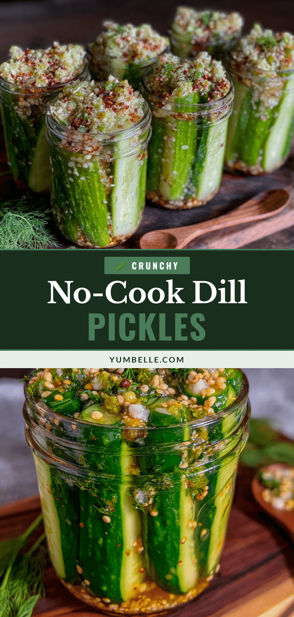 crunchy dill refrigerator pickles recipe