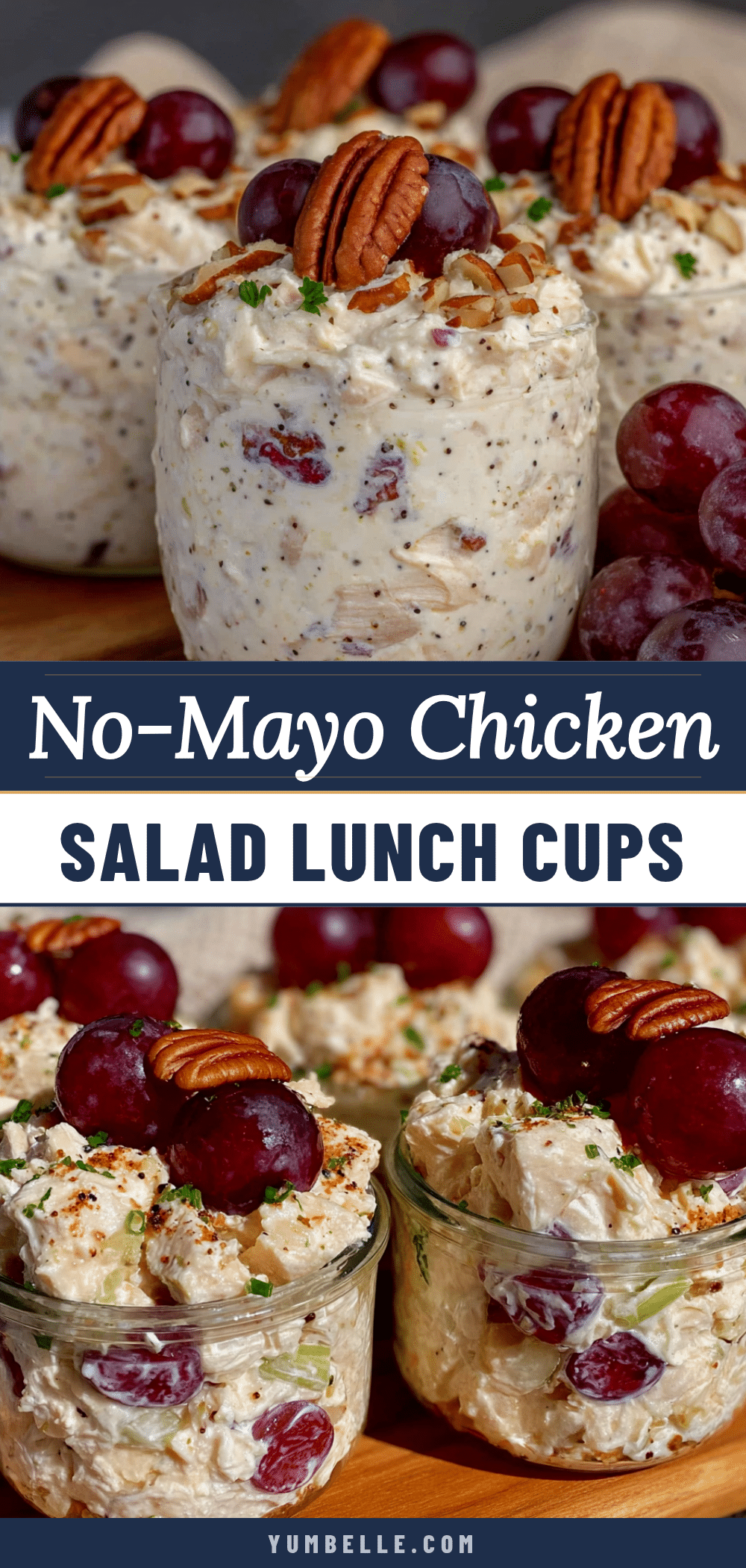 healthy no-mayo chicken salad lunch box cups recipe