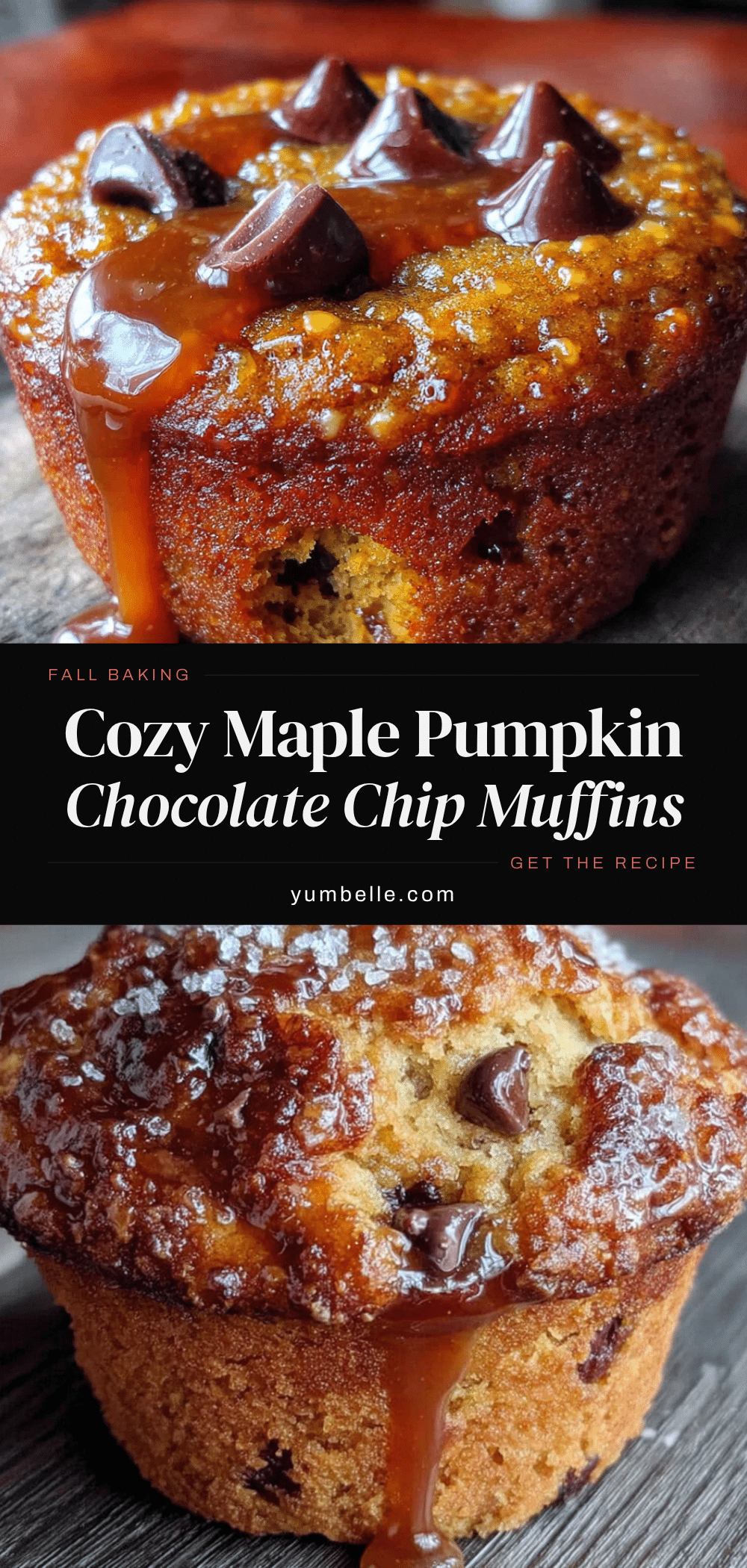 maple pumpkin chocolate chip muffins recipe