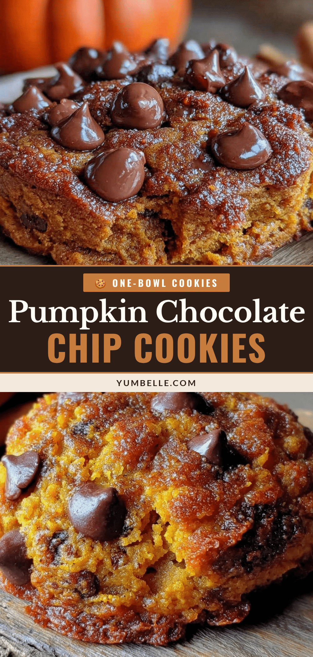 pumpkin chocolate chip cookies recipe